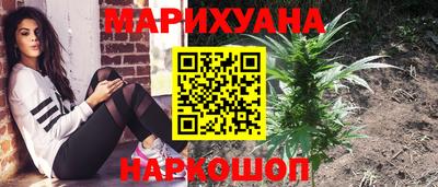 мяу мяу мука Малгобек