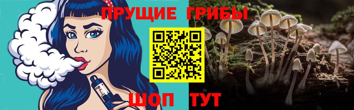 Галлюциногенные грибы прущие грибы  Галлюциногенные грибы Psilocybe  Звенигород  Вход с VPN 